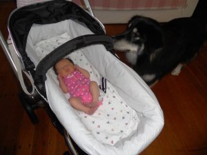 she's really little mumma, are you sure you should be taking her out in that enormous pram