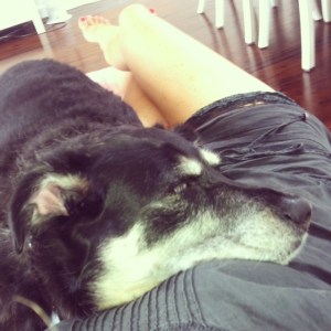 Couch cuddles with my other sweet girl.