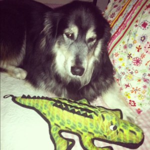 Don't get any ideas, I'm watching you!