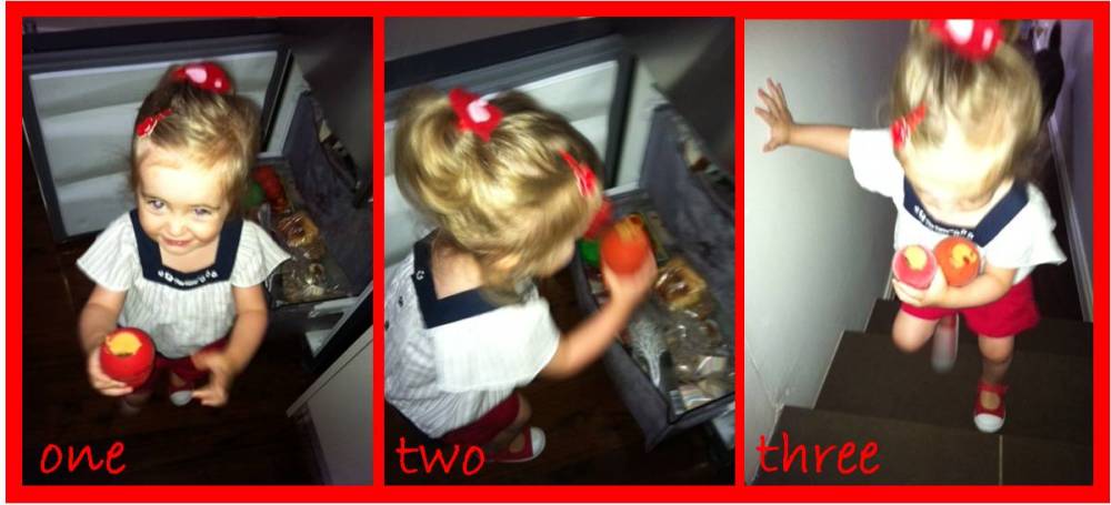 my bella and my bear bear 1