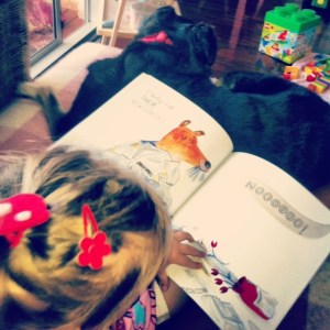 on my lap reading, toes tucked under Bella