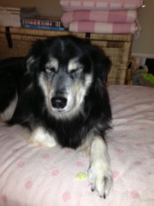 i can't see the fluff