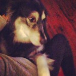 beary - cuddles with my favourite boy