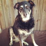 bella - not impressed with her bath