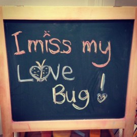 i miss my love bug