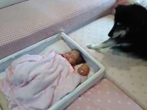 fort - keeping close watch on his bubba