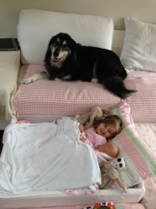 fort - proving quite popular