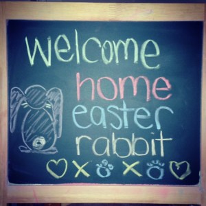 welcome home easter rabbit