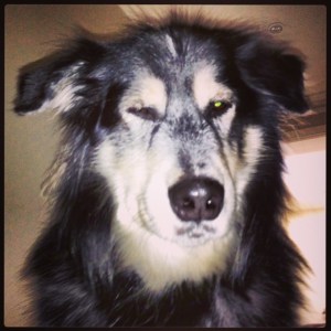 giving monday the shifty eye