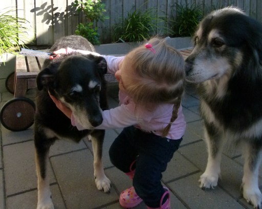 grooming her loves, with love