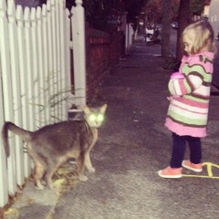 will you be my friend 1