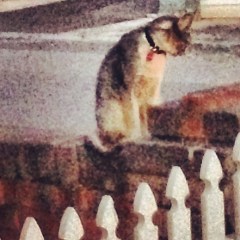 will you be my friend 3