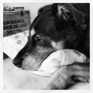 can one person really make a difference