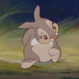 if you can't say something nice