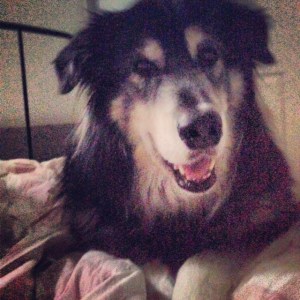 waking up to a handsome face