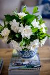 gardenia - a favourite of mummas