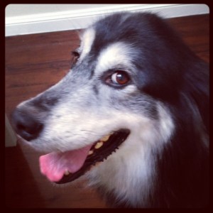 wordless wednesday handsome 3