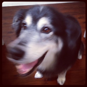 wordless wednesday handsome 5