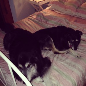 do you see what is happening here