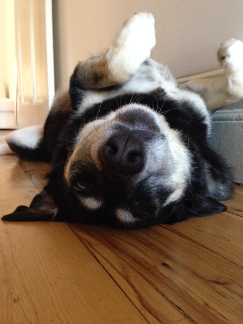 how many times each day