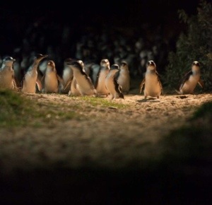 look at all of that cuteness