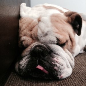 why did his bottom fall out