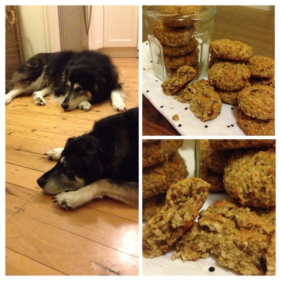 what do you mean we can't eat them?