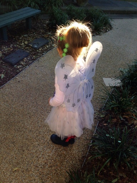 wings in the morning sunshine