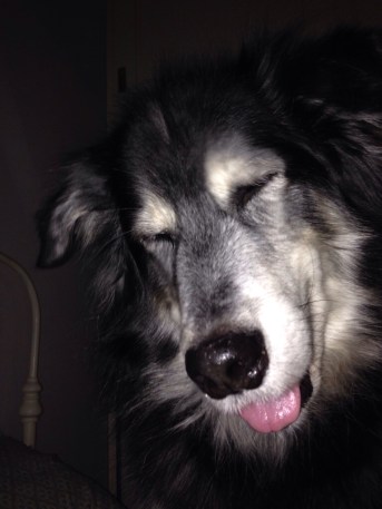 are you awake yet mumma?