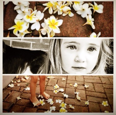 Will Spring put the flowers back?