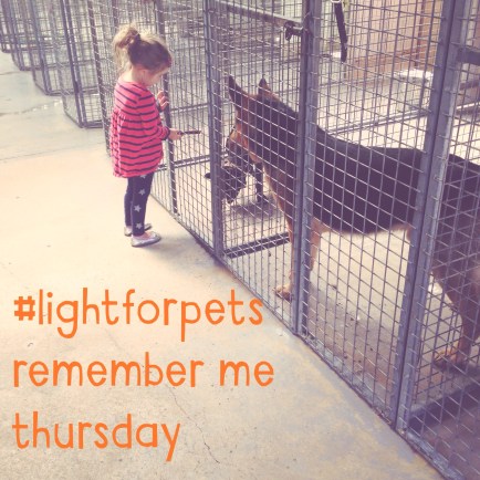 In the arms of an angel