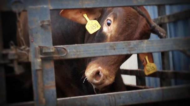 This has to STOP. We have to stop it.