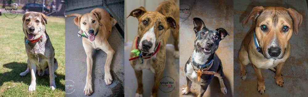 mikey naya bobby sony beau