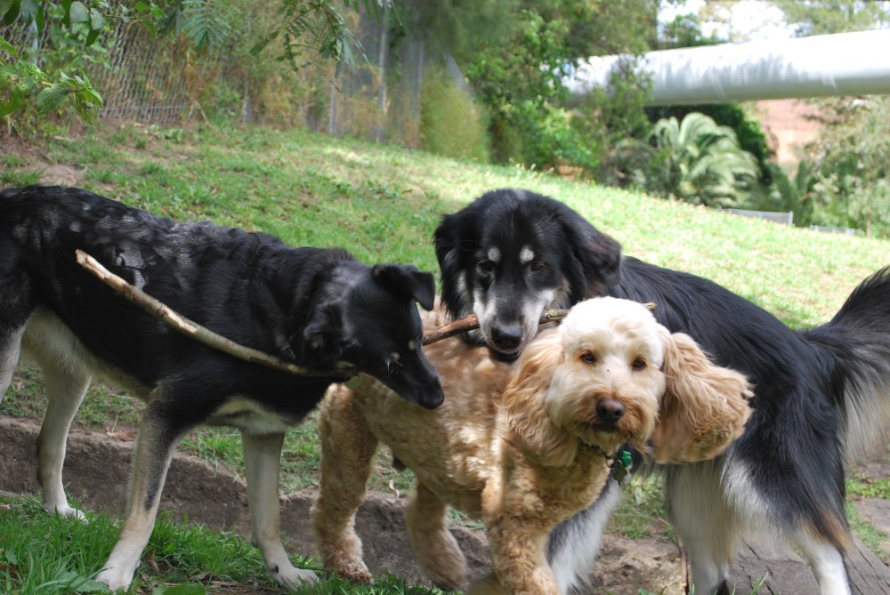 Flashback Friday {limbo and love}