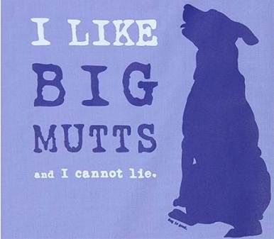 I like big mutts and I cannot lie