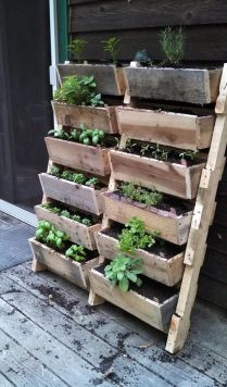 vertical herb garden