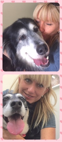 A house without puppy love