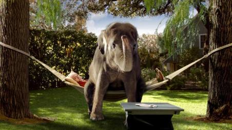 I love elephants, I just wish this one would get off my chest