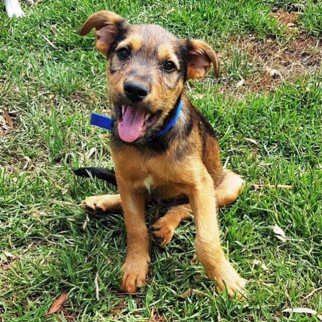 harry insta profile.jpg